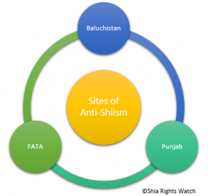 Shia Rights Watch_AntiShiism