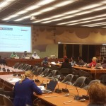 Shia Rights Watch_Women_Powerment (4)