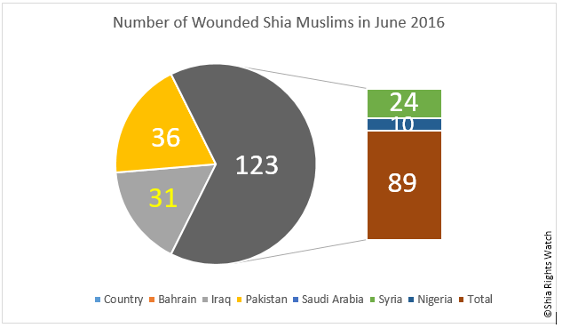 Shia Rights Watch_ June 2016